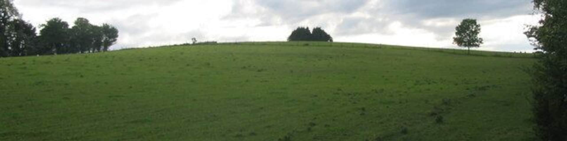 Mapperton Hill A view looking to the southwest from the public footpath between Maiden Bradley and Yarnfield, towards Mapperton Hill.