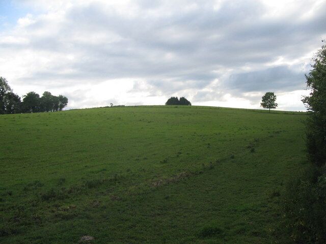 A green field with a hill and trees in the background.