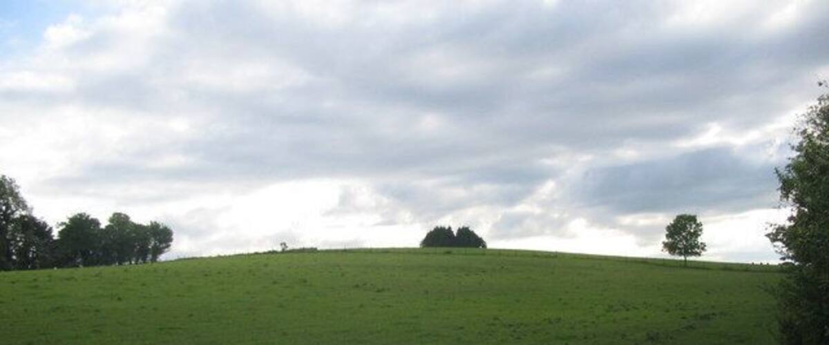 A green field with a hill and trees in the background.