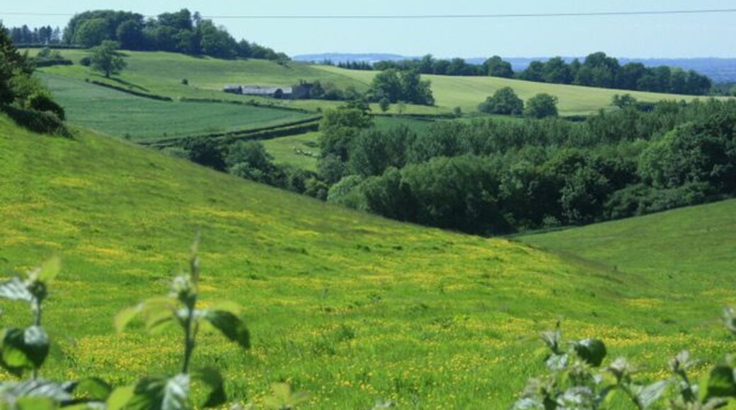 At the head of a valley near Maiden Bradley In the original image it is possible to see Cranmore Tower ST6745 with its attendant radio masts.