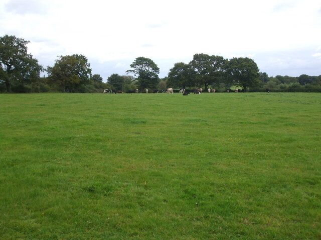 Grazing Land off Lees Lane