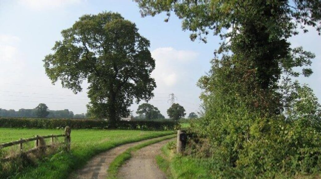 The Track To Greenthwaite Grange From the B1363.