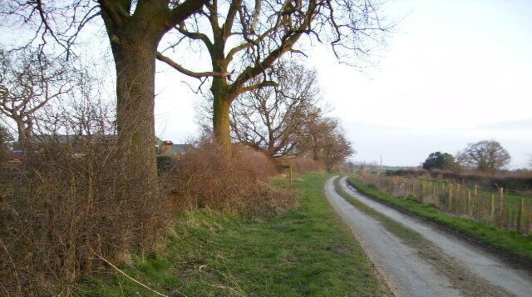 Bull Lane at Bohemia looking towards Low Bohemia Farm