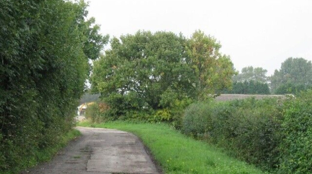 The Track From Goose Farm The first part of a Public Footpath to Sutton-on-the-Forest.