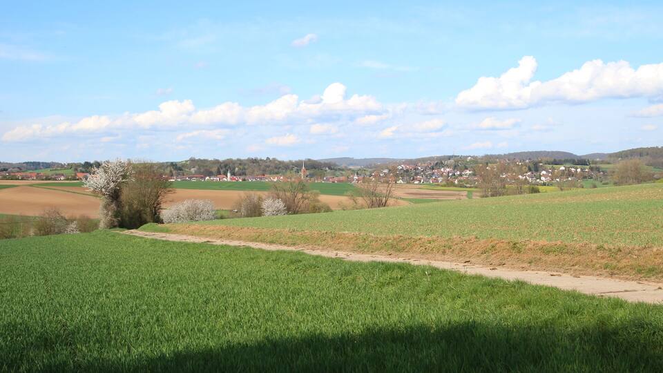 A rural landscape with green fields, a dirt path, and a small village in the distance.