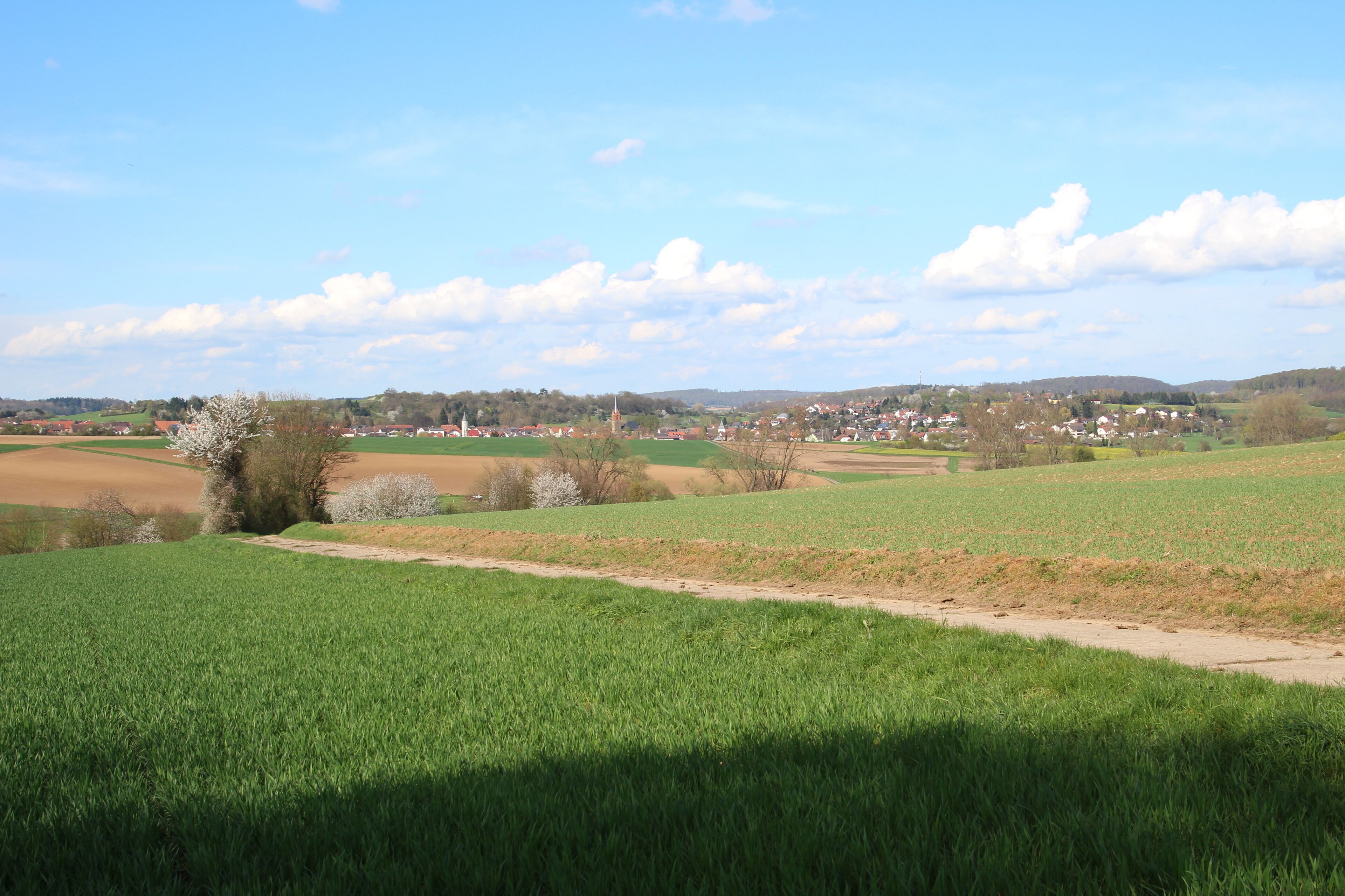 A rural landscape with green fields, a dirt path, and a small village in the distance.
