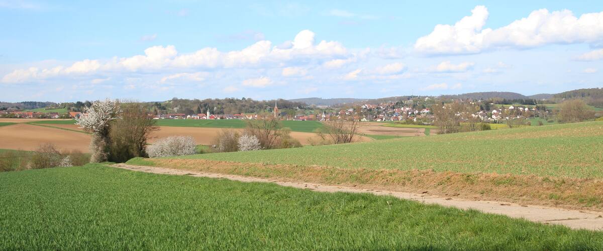 A rural landscape with green fields, a dirt path, and a small village in the distance.