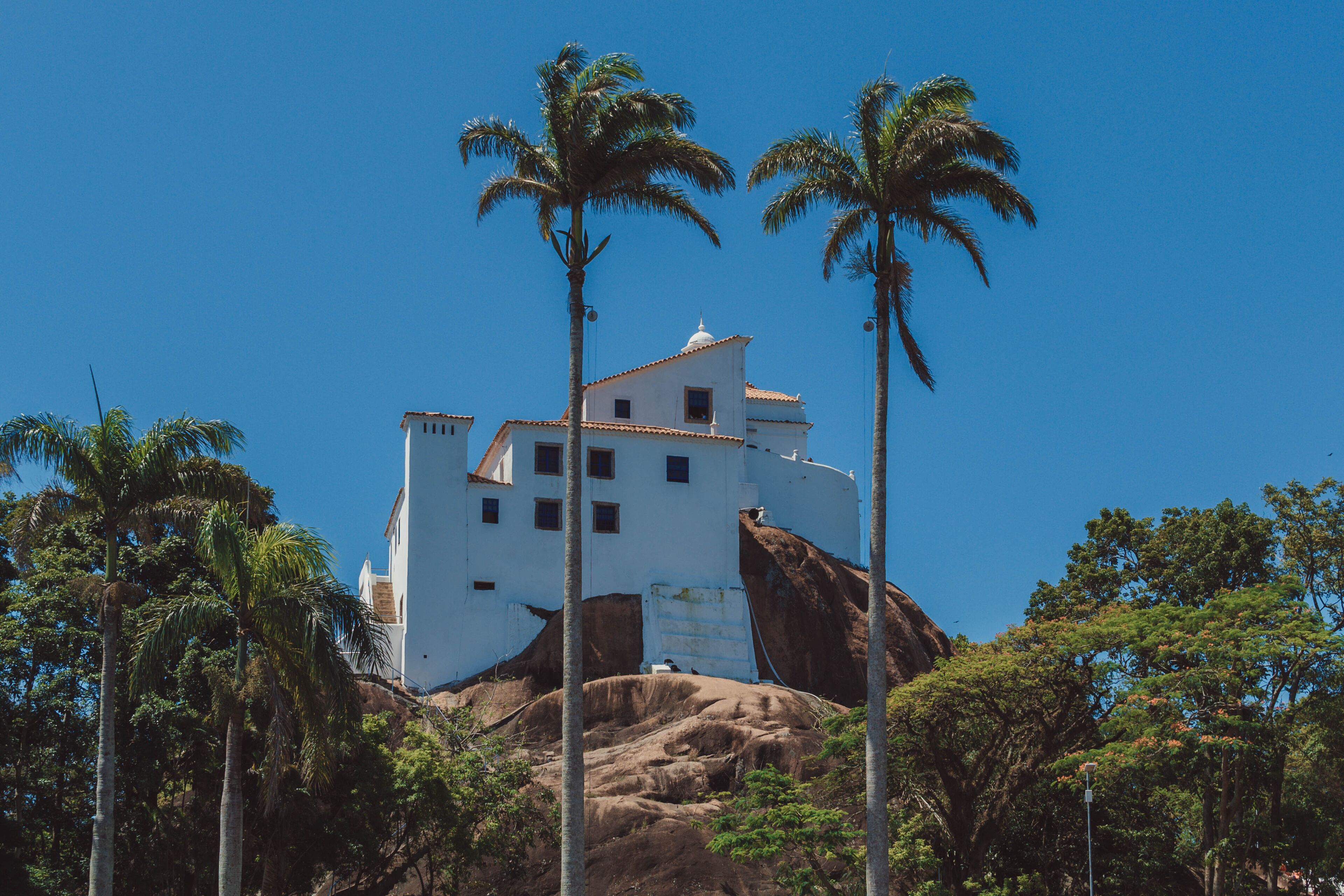 A white building with a red roof on a hill, surrounded by palm trees.