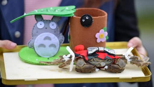 “Mitten Crab Fashion Show" held in Jiangsu Province of China.During the Hongze Lake Crab Festival, the local residents of Hongze Lake dress up the crabs with new clothes and throught the "situational performance" to celebrate and share the joy of harvest, very fresh and interesting.
江苏洪泽“螃蟹时装秀
https://twitter.com/Beautifulgx