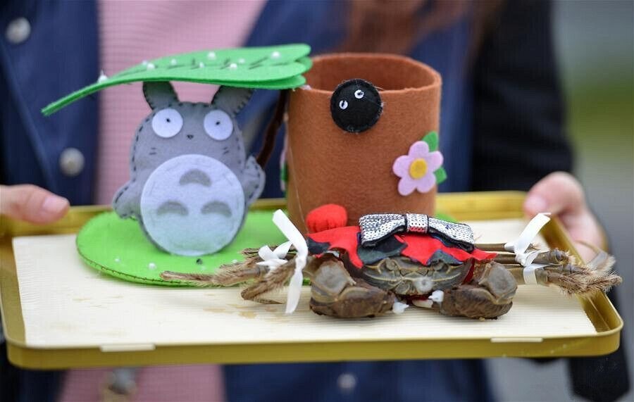 “Mitten Crab Fashion Show" held in Jiangsu Province of China.During the Hongze Lake Crab Festival, the local residents of Hongze Lake dress up the crabs with new clothes and throught the "situational performance" to celebrate and share the joy of harvest, very fresh and interesting.
江苏洪泽“螃蟹时装秀
https://twitter.com/Beautifulgx