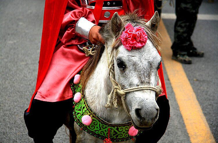 Riding a pony,let's go to see the Debao Red Maple of Baise,China.
https://twitter.com/Beautifulgx