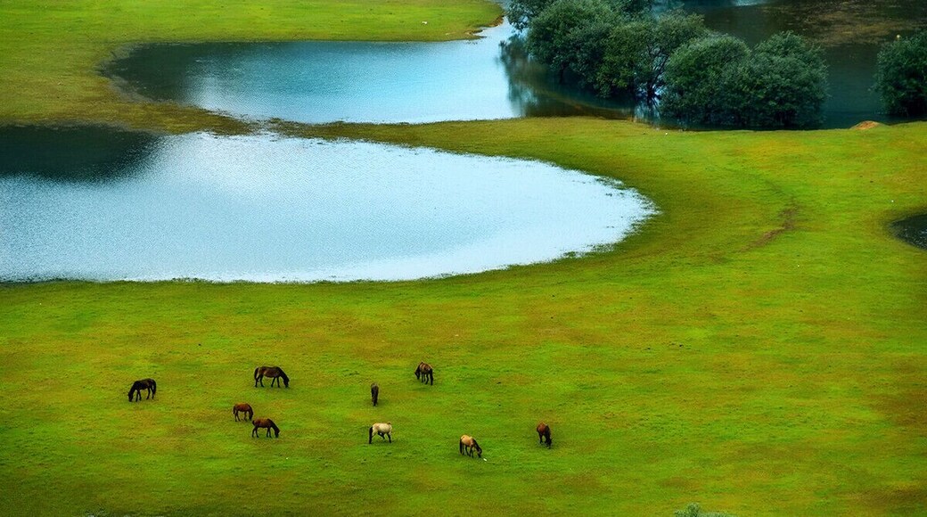 The green field of Debao.
德宝的绿色田园
https://twitter.com/Beautifulgx
