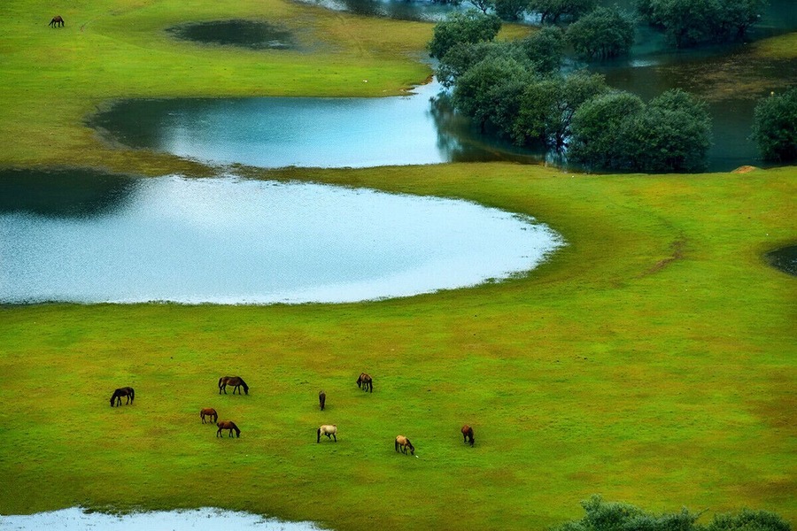 The green field of Debao.
德宝的绿色田园
https://twitter.com/Beautifulgx