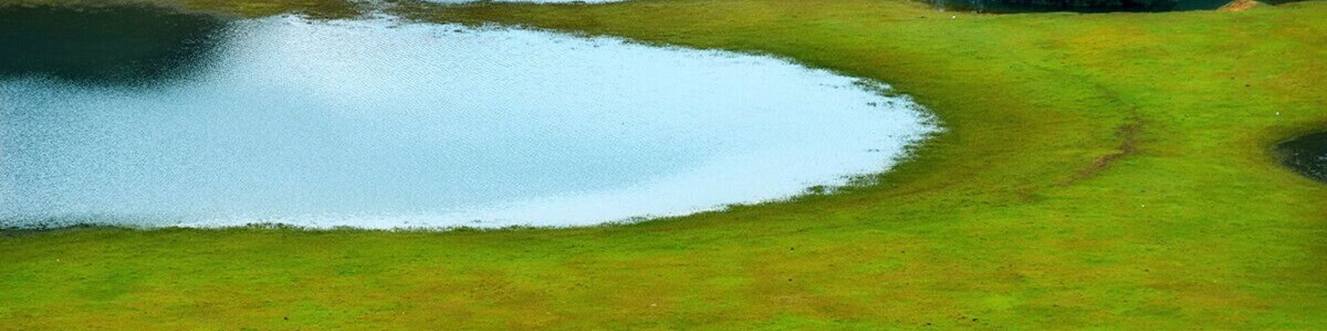 The green field of Debao.
德宝的绿色田园
https://twitter.com/Beautifulgx