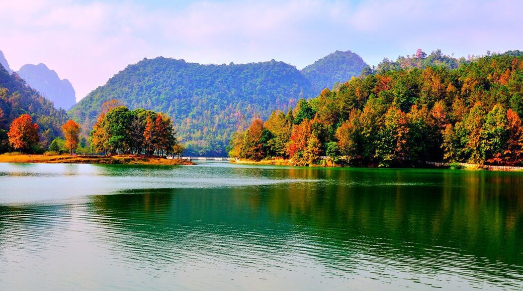 Riding a pony,let's go to see the Debao Red Maple of Baise,China.
https://twitter.com/Beautifulgx