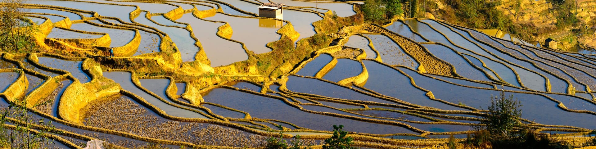 Rice Terraced field in water season in YuanYang, China