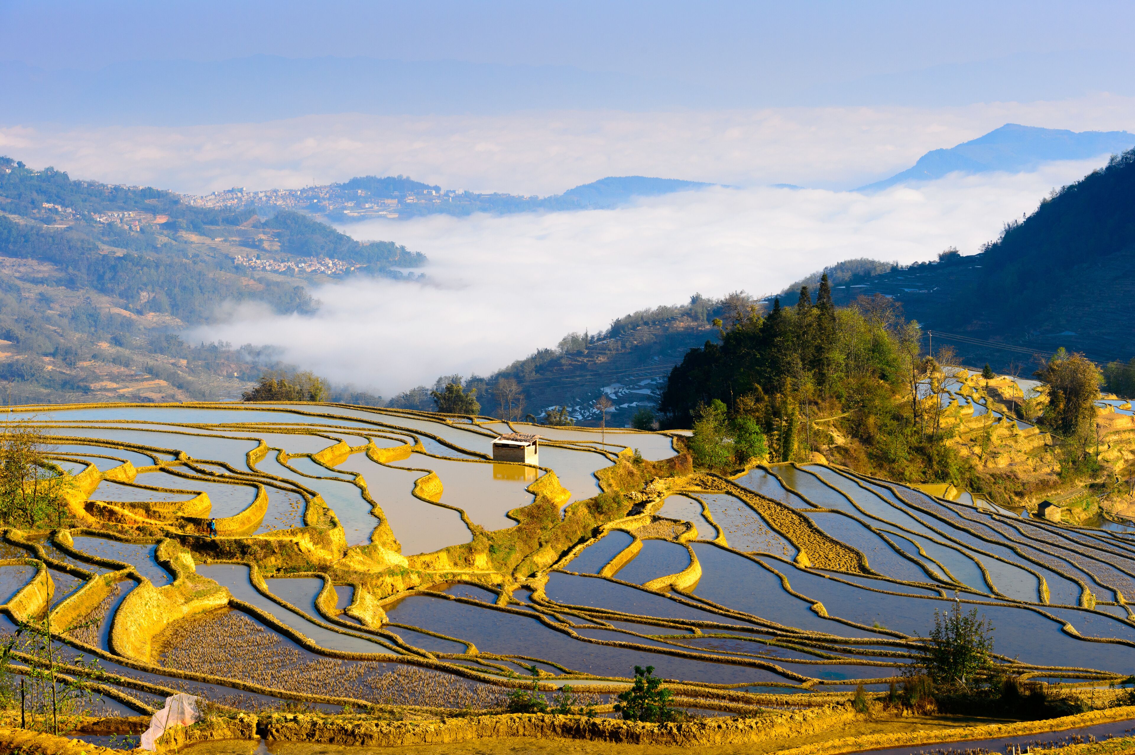 Terraced rice fields, a mountain range, and a valley with mist.