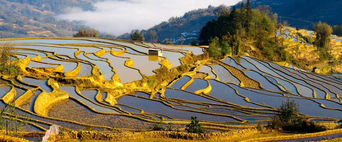 Terraced rice fields, a mountain range, and a valley with mist.