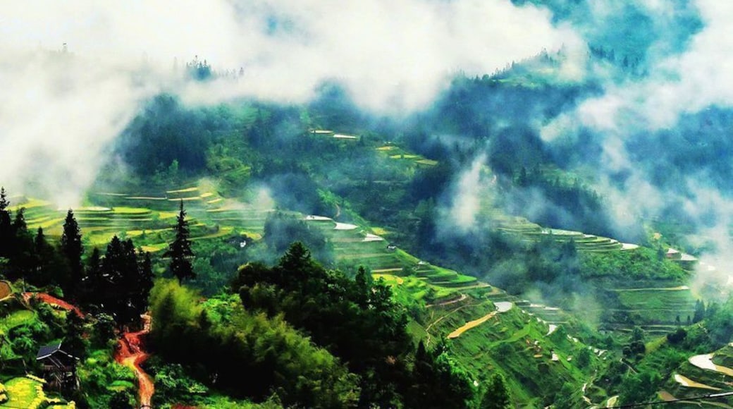 Basha Miao Village of Congjiang.
#芭莎苗寨.
https://twitter.com/Beautifulgx