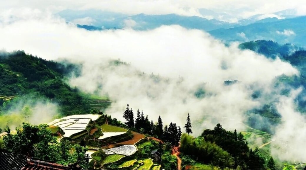 Basha Miao Village of Congjiang.
#芭莎苗寨.
https://twitter.com/Beautifulgx