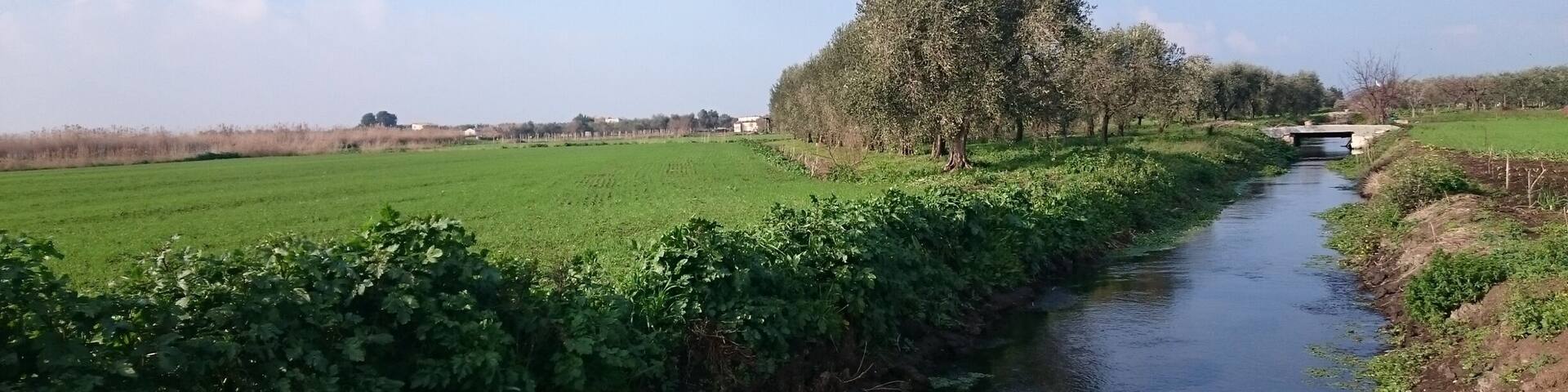 Sorgente di Lauro #water #Gargano