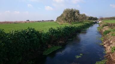 Sorgente di Lauro #water #Gargano