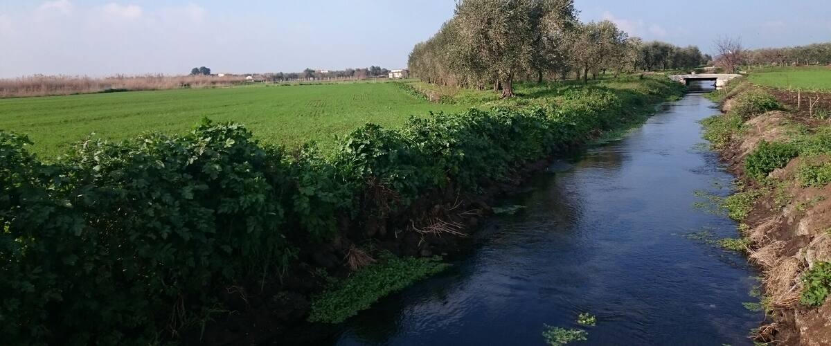 A narrow waterway flanked by lush greenery and a bridge in the distance.