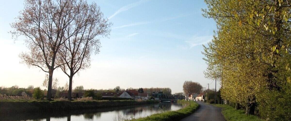 A narrow road beside a calm river, with trees and buildings in the background.