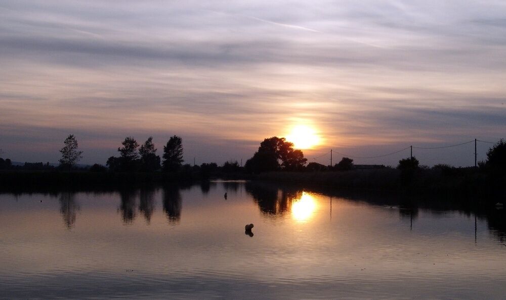Confluent de l'Aa et du Canal de Calais