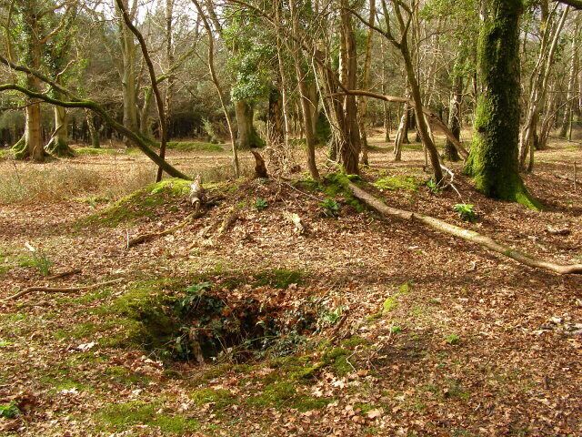 Earthworks, Copythorne Common Looking west from within the square enclosure on Copythorne Common, a hole and mound are in the foreground, with the western side of the enclosure beyond.