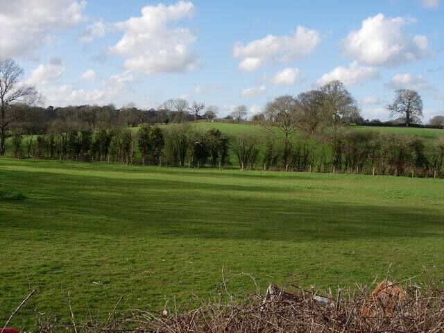 Fields and hedgerow. Still some good hedgerows in this area. Very nice cycling route into the New Forest from Southampton.