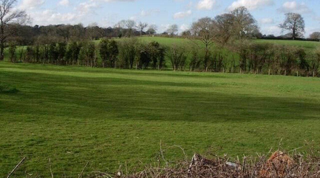 Fields and hedgerow. Still some good hedgerows in this area. Very nice cycling route into the New Forest from Southampton.