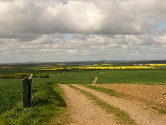 A dirt path leading through a field with yellow crops, a green fence, and a cloudy sky.