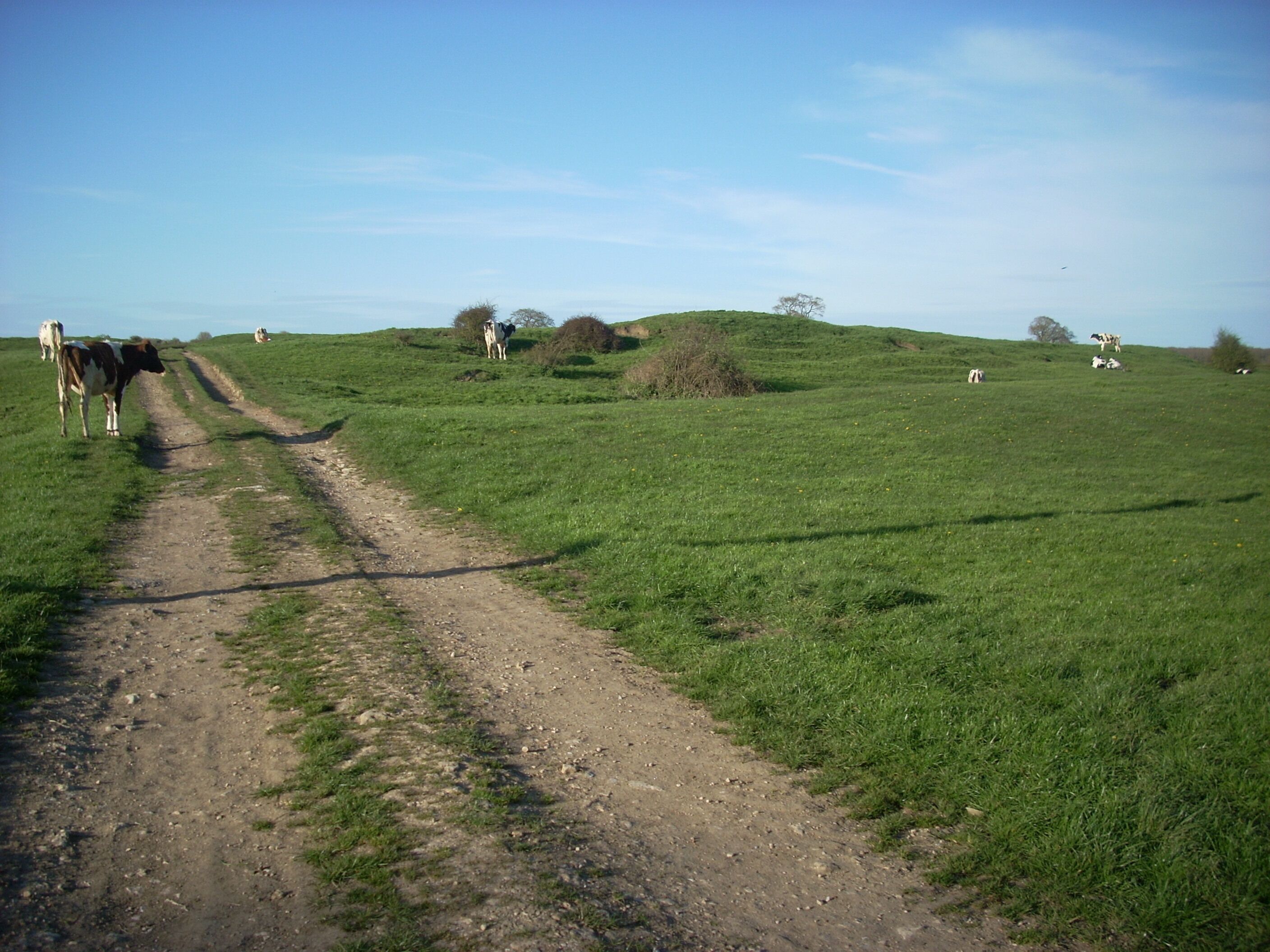 The site of King's Court Palace, a 13th century royal hunting lodge on the outskirts of Gillingham in Dorset, UK.