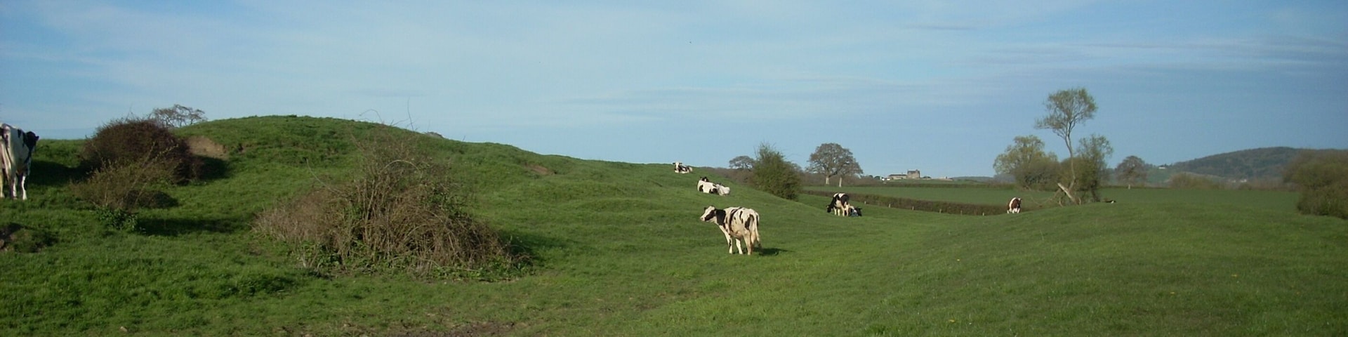 The site of King's Court Palace, a 13th century royal hunting lodge on the outskirts of Gillingham in Dorset, UK.