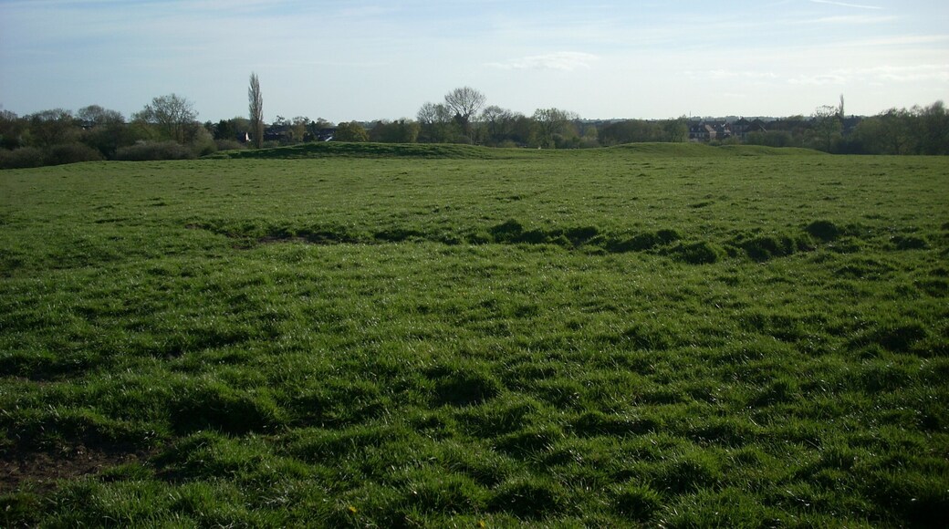 The site of King's Court Palace, a 13th century royal hunting lodge on the outskirts of Gillingham in Dorset, UK.