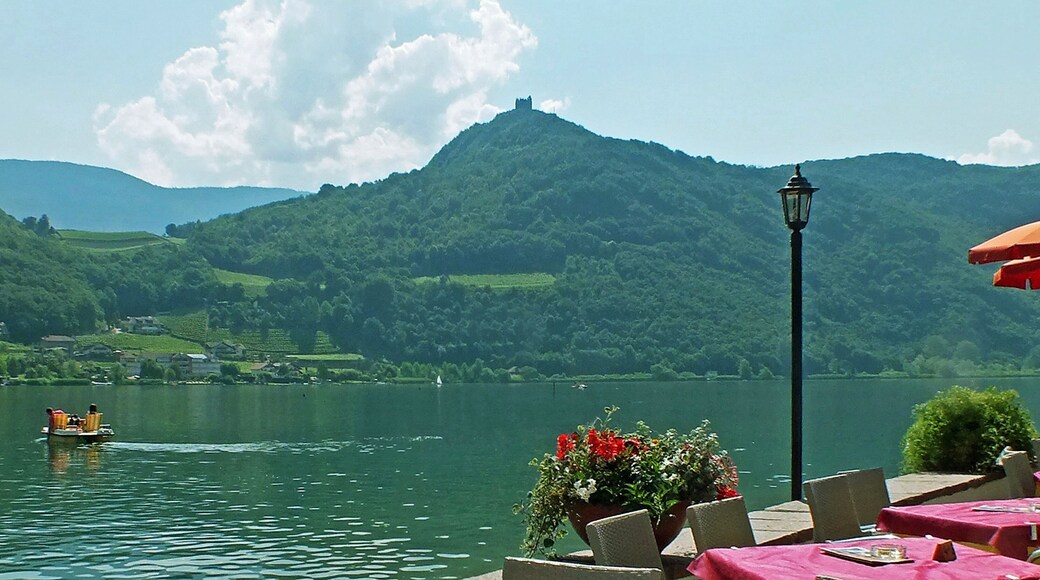 This media shows the cultural heritage monument with the number 16451 in South Tyrol.