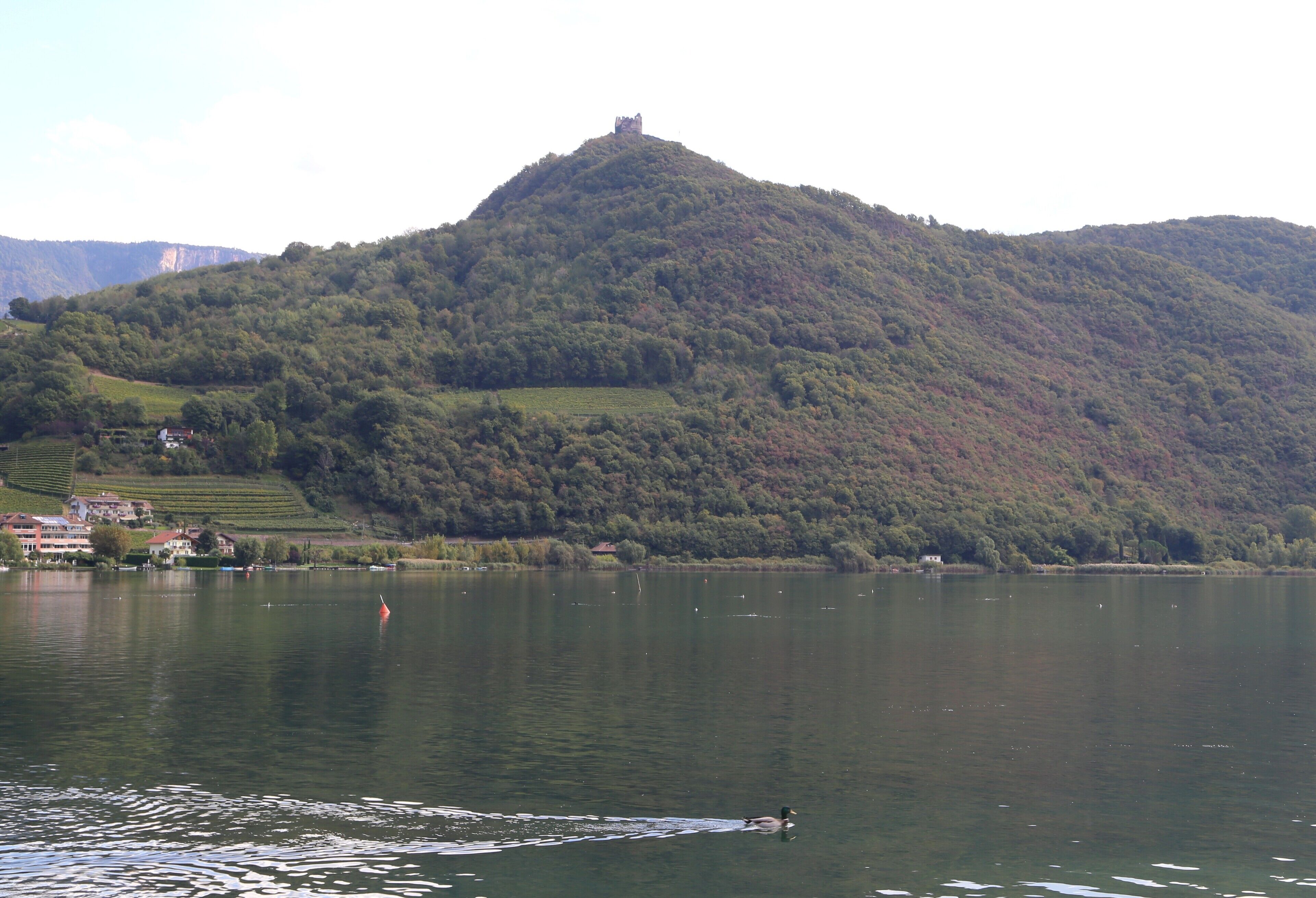 This media shows the cultural heritage monument with the number 16451 in South Tyrol.