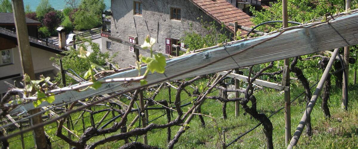 Ansitz Klughammer in Klughammer am Kalterer See (Gemeinde Pfatten)