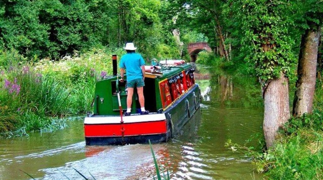 "Zachariah Keppel" heading towards Brewhurst Bridge, Wey & Arun Canal. The Wey & Arun Canal Trust's trip boat is heading towards Brewhurst Bridge, which can be seen in the far distance. 1436679.