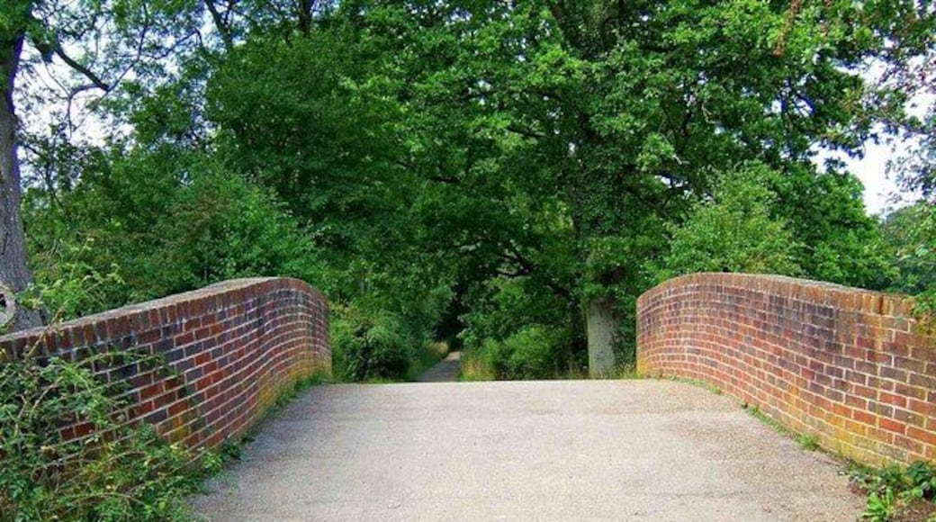 Brewhurst Lane & Brewhurst Bridge, looking north The heavily restored bridge takes Brewhurst Lane across the Wey & Arun Canal. 1438481.