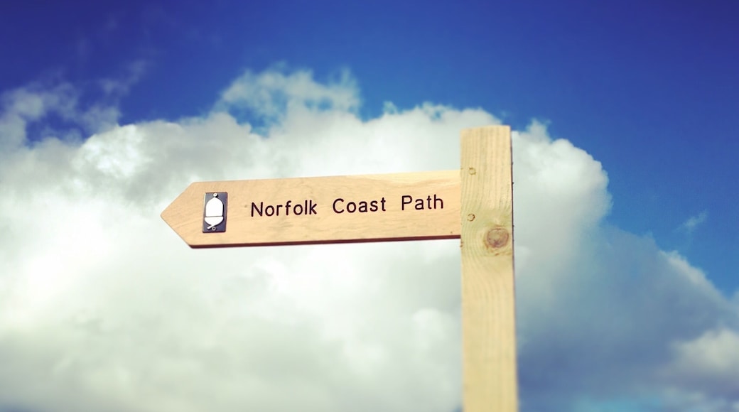 Which way?! 😁 #norfolk #beach #hiking