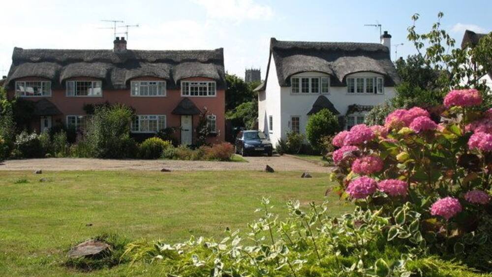 A row of houses with thatched roofs, a grassy lawn, and pink flowers in the foreground.