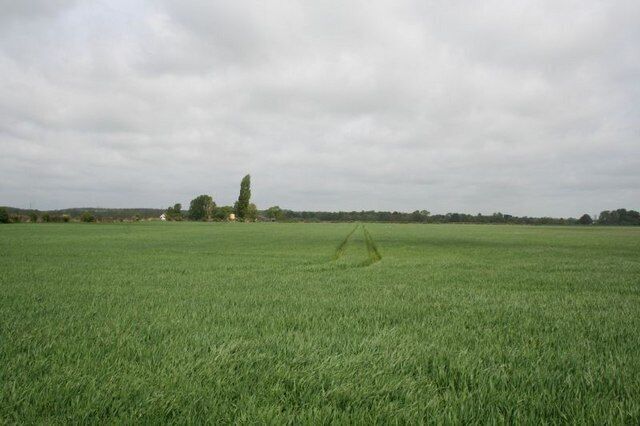 Looking at Northfield View towards Northfield farm which can be seen by the trees in the distance.