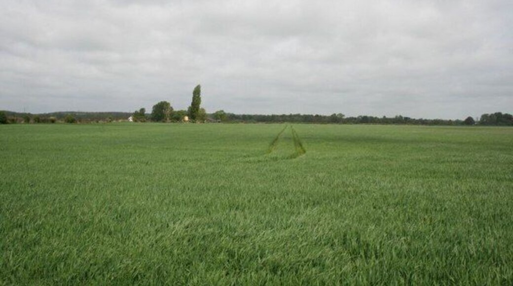 Looking at Northfield View towards Northfield farm which can be seen by the trees in the distance.