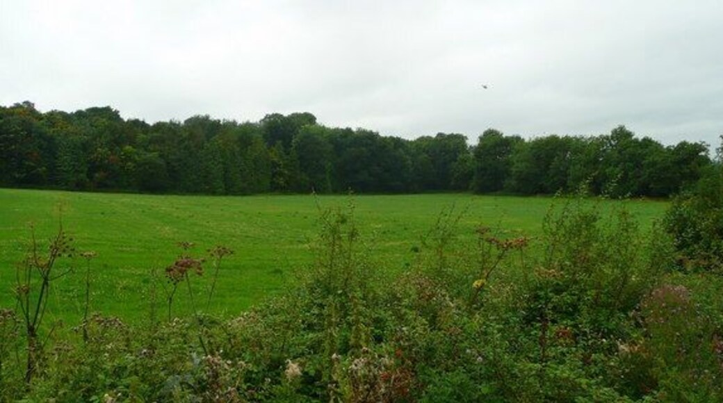 Long Wittenham Wood View west of the road between Long Wittenham and Brightwell.