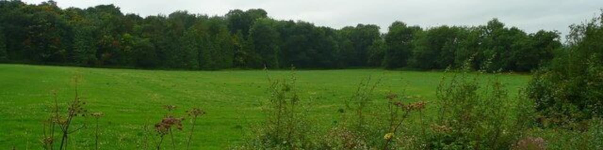 Long Wittenham Wood View west of the road between Long Wittenham and Brightwell.