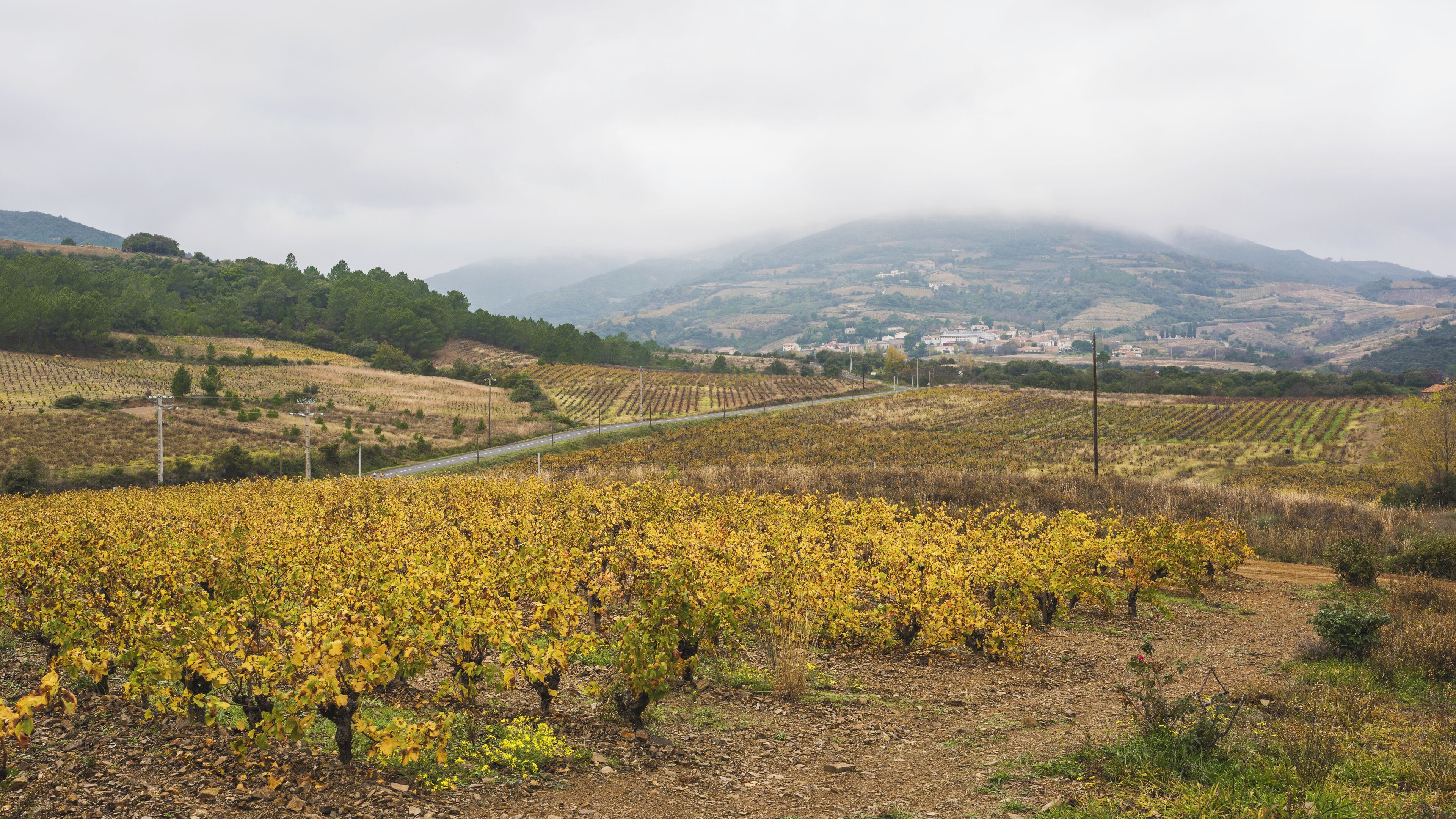 The village of Berlou and some vineyards of the AOC Saint-Chinian from the commune of Cessenon-sur-Orb, Hérault, France.