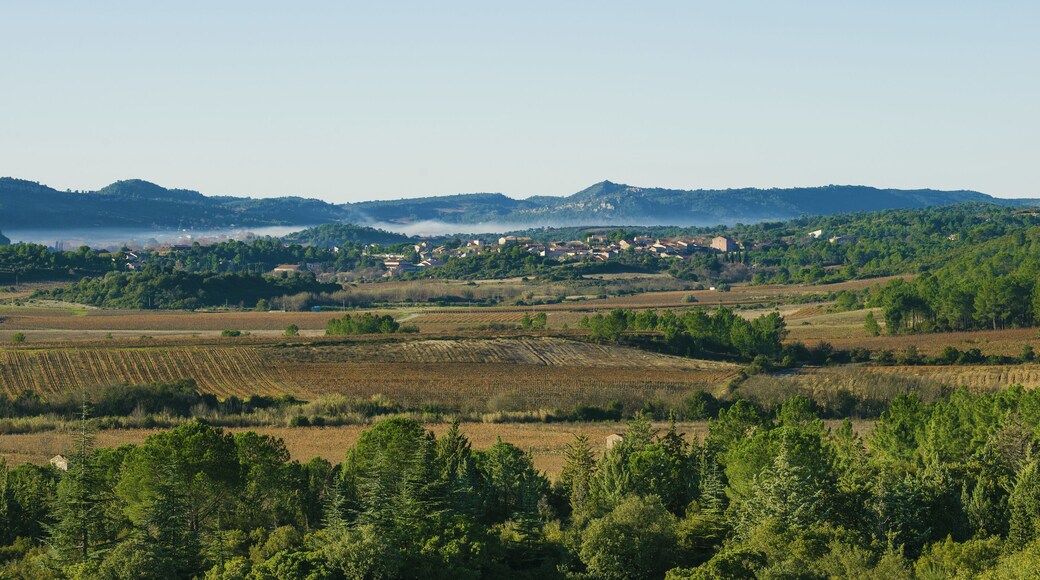The village and the Southeastern part of the communal area seen from Northeast. Prades-sur-Vernazobre, Hérault, France. These vines are among those which produce the French wine Saint-Chinian.