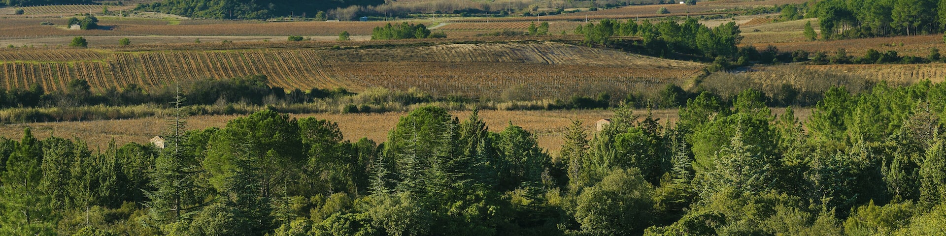 The village and the Southeastern part of the communal area seen from Northeast. Prades-sur-Vernazobre, Hérault, France. These vines are among those which produce the French wine Saint-Chinian.